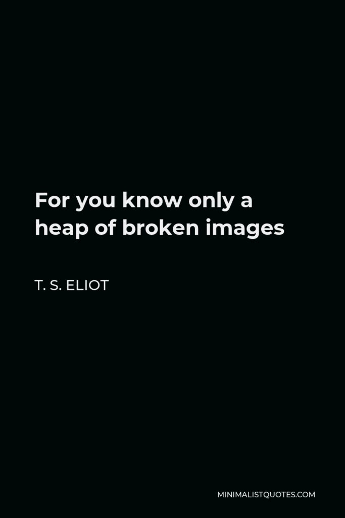 T. S. Eliot Quote - For you know only a heap of broken images