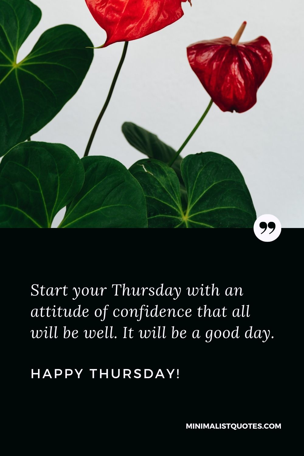 Good morning Thursday quotes: Start your Thursday with an attitude of confidence that all will be well. It will be a good day. Happy Thursday!