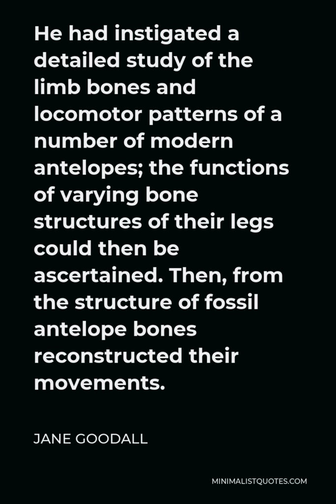 Jane Goodall Quote - He had instigated a detailed study of the limb bones and locomotor patterns of a number of modern antelopes; the functions of varying bone structures of their legs could then be ascertained. Then, from the structure of fossil antelope bones reconstructed their movements.