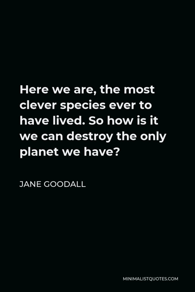 Jane Goodall Quote - Here we are, the most clever species ever to have lived. So how is it we can destroy the only planet we have?