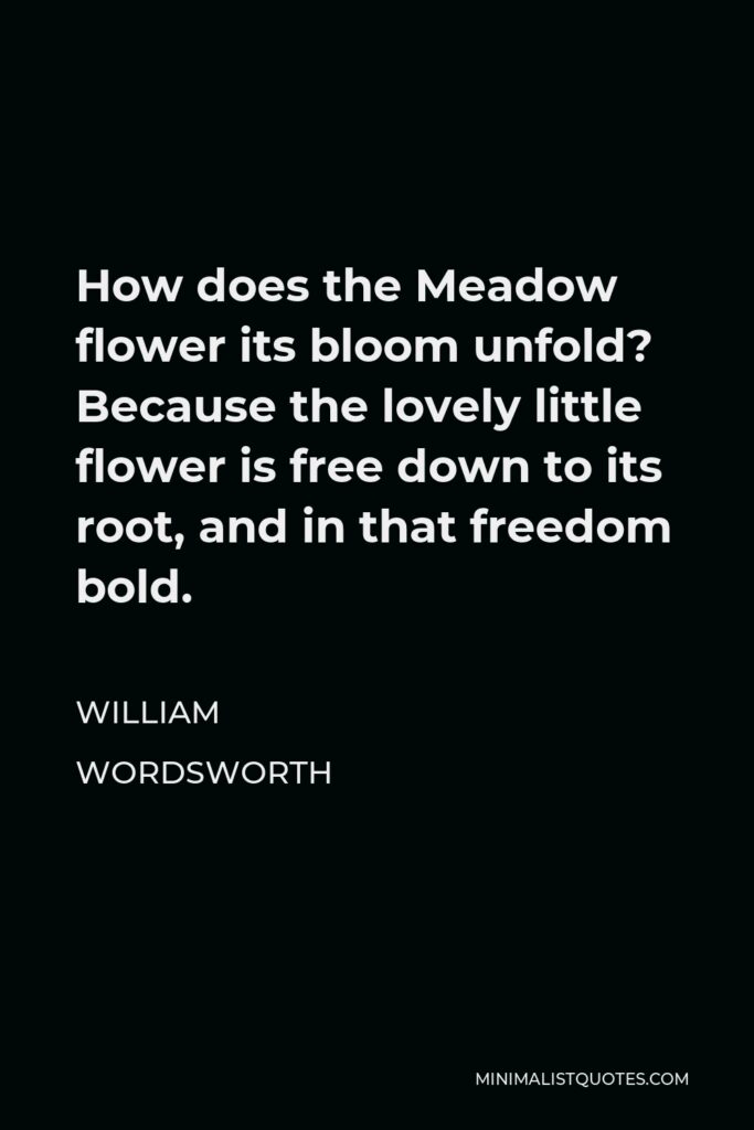 William Wordsworth Quote - How does the Meadow flower its bloom unfold? Because the lovely little flower is free down to its root, and in that freedom bold.