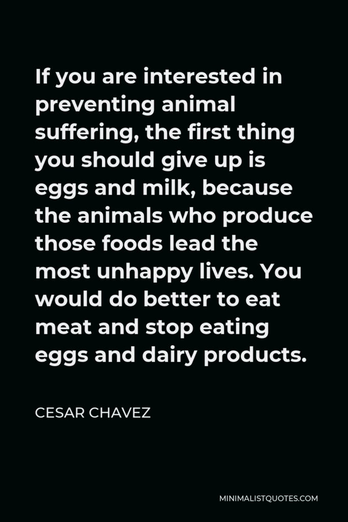 Cesar Chavez Quote - If you are interested in preventing animal suffering, the first thing you should give up is eggs and milk, because the animals who produce those foods lead the most unhappy lives. You would do better to eat meat and stop eating eggs and dairy products.