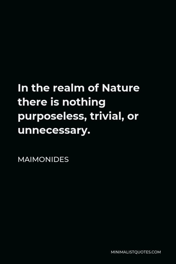 Maimonides Quote - In the realm of Nature there is nothing purposeless, trivial, or unnecessary.