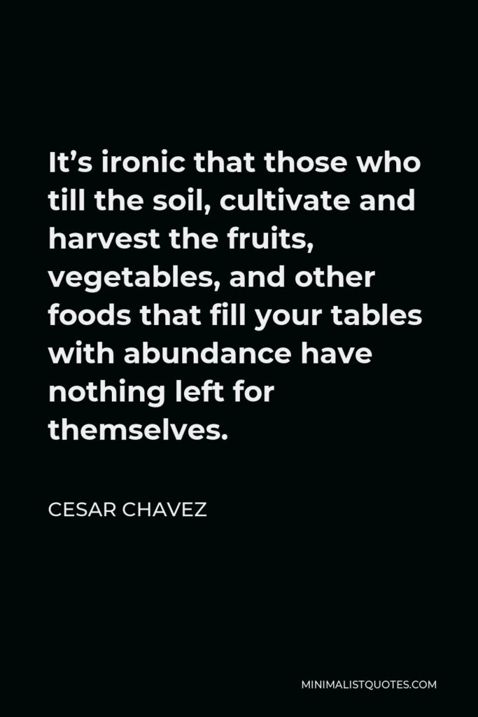 Cesar Chavez Quote - It’s ironic that those who till the soil, cultivate and harvest the fruits, vegetables, and other foods that fill your tables with abundance have nothing left for themselves.