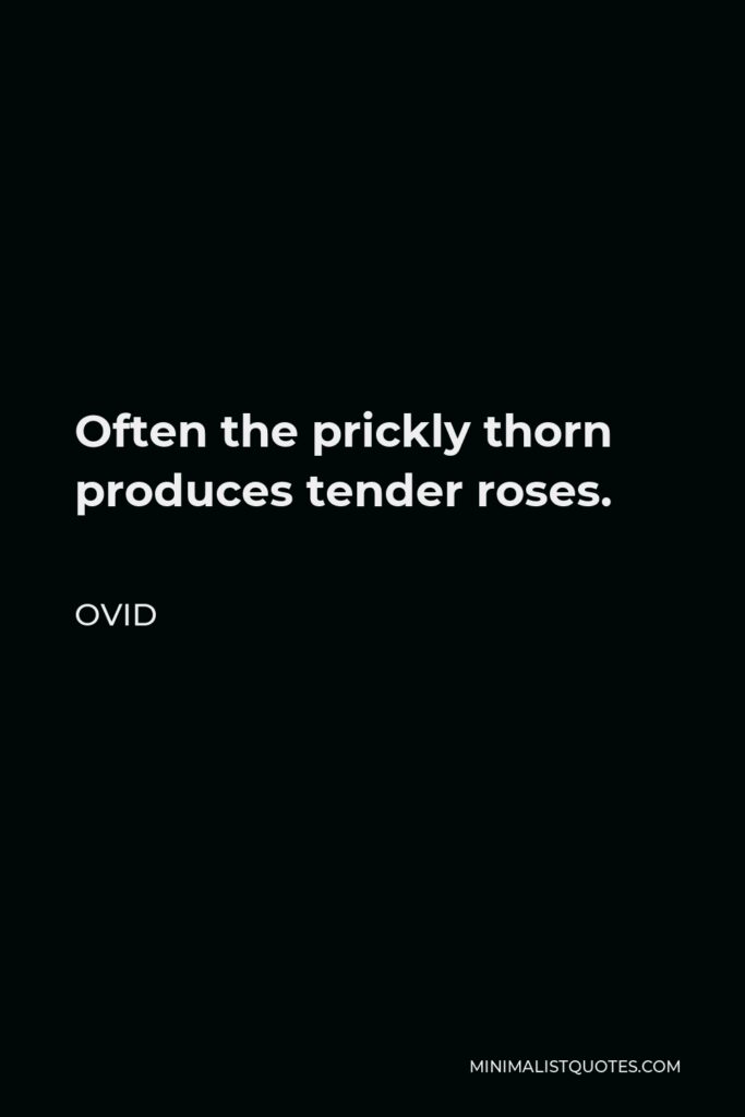 Ovid Quote - Often the prickly thorn produces tender roses.