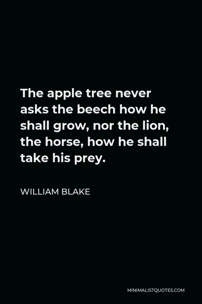William Blake Quote - The apple tree never asks the beech how he shall grow, nor the lion, the horse, how he shall take his prey.