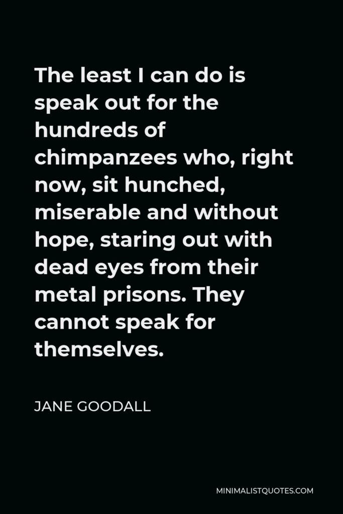 Jane Goodall Quote - The least I can do is speak out for the hundreds of chimpanzees who, right now, sit hunched, miserable and without hope, staring out with dead eyes from their metal prisons. They cannot speak for themselves.
