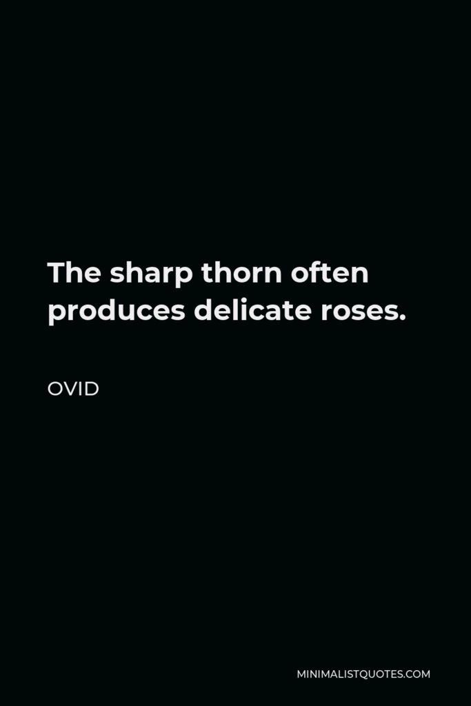 Ovid Quote - The sharp thorn often produces delicate roses.