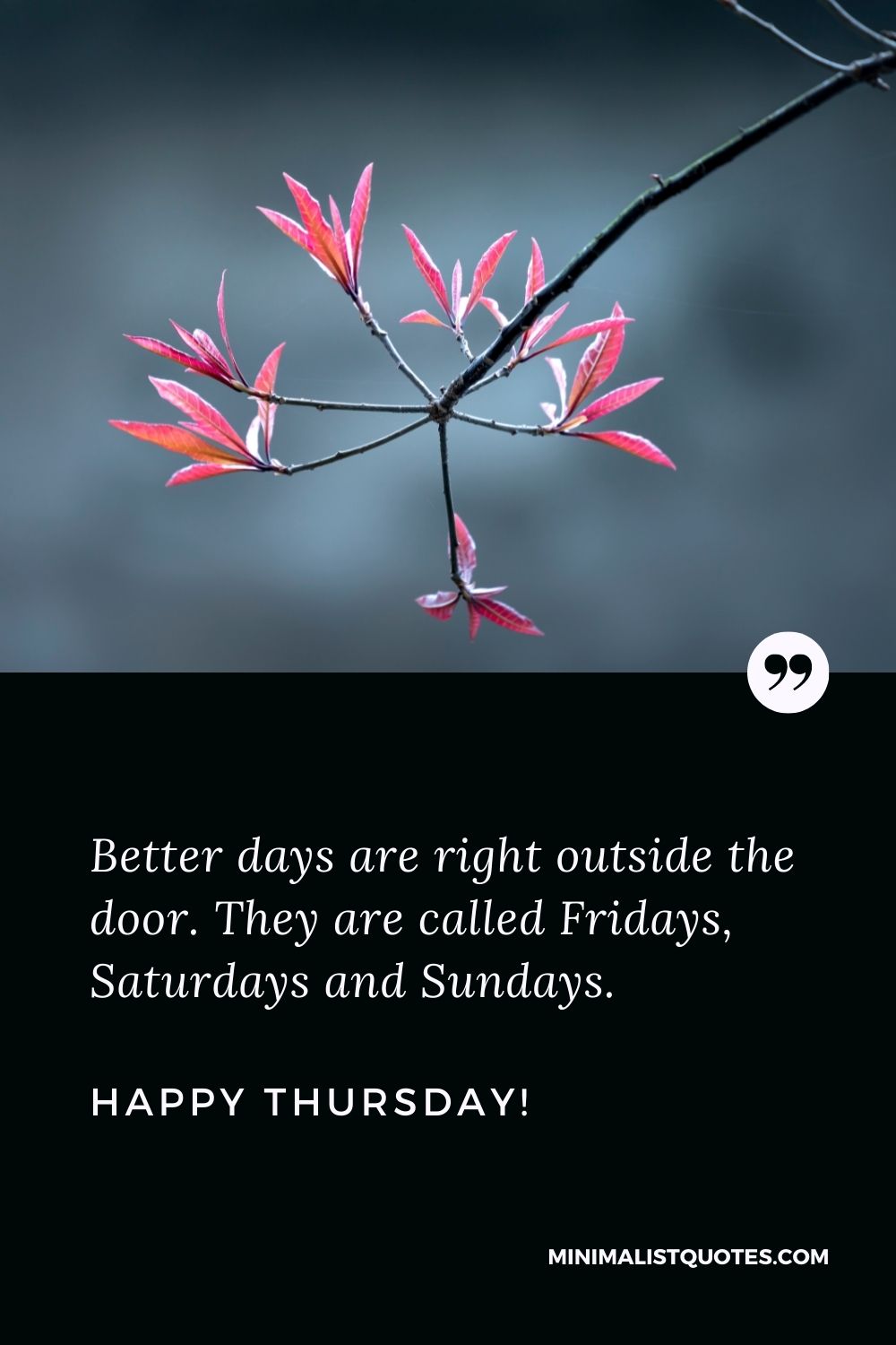 Thursday blessing quotes: Better days are right outside the door. They are called Fridays, Saturdays and Sundays. Happy Thursday!