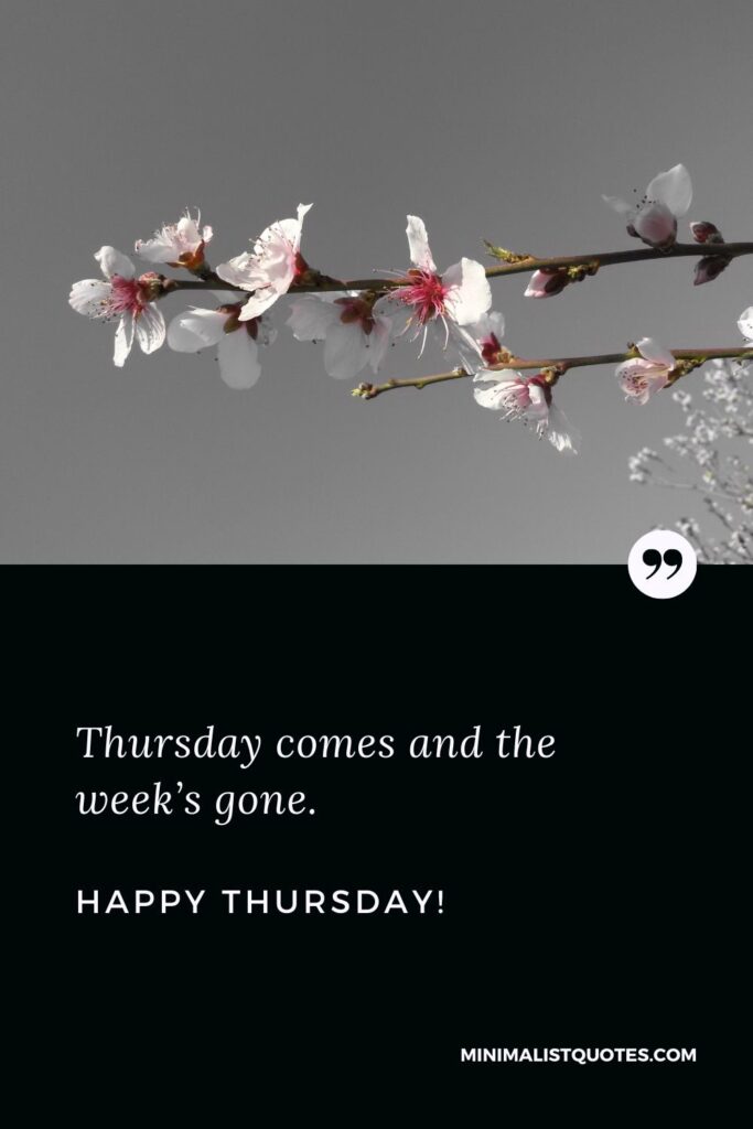 Thursday evening quotes: Thursday comes and the week’s gone. Happy Thursday!