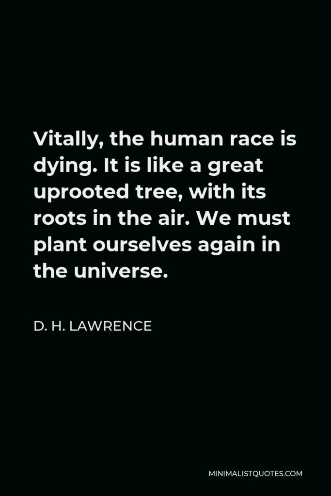 D. H. Lawrence Quote - Vitally, the human race is dying. It is like a great uprooted tree, with its roots in the air. We must plant ourselves again in the universe.