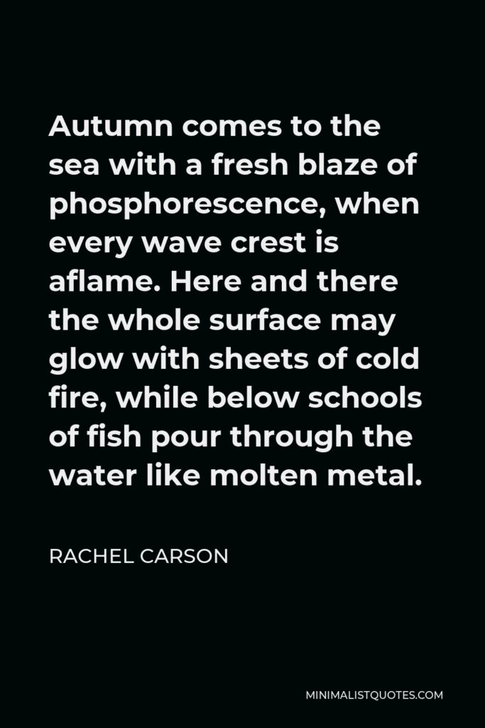 Rachel Carson Quote - Autumn comes to the sea with a fresh blaze of phosphorescence, when every wave crest is aflame. Here and there the whole surface may glow with sheets of cold fire, while below schools of fish pour through the water like molten metal.