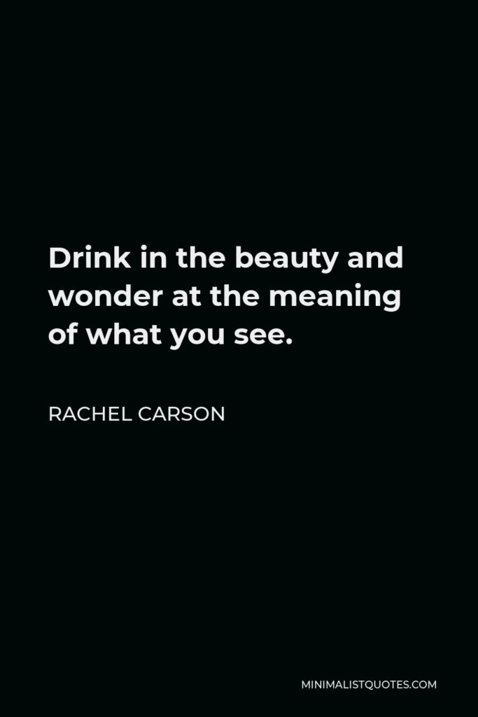 Rachel Carson Quote - Drink in the beauty and wonder at the meaning of what you see.