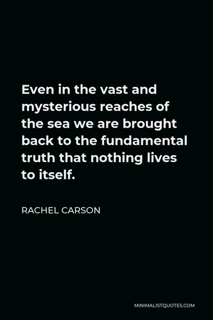 Rachel Carson Quote - Even in the vast and mysterious reaches of the sea we are brought back to the fundamental truth that nothing lives to itself.