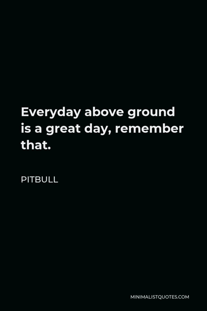Pitbull Quote - Everyday above ground is a great day, remember that.