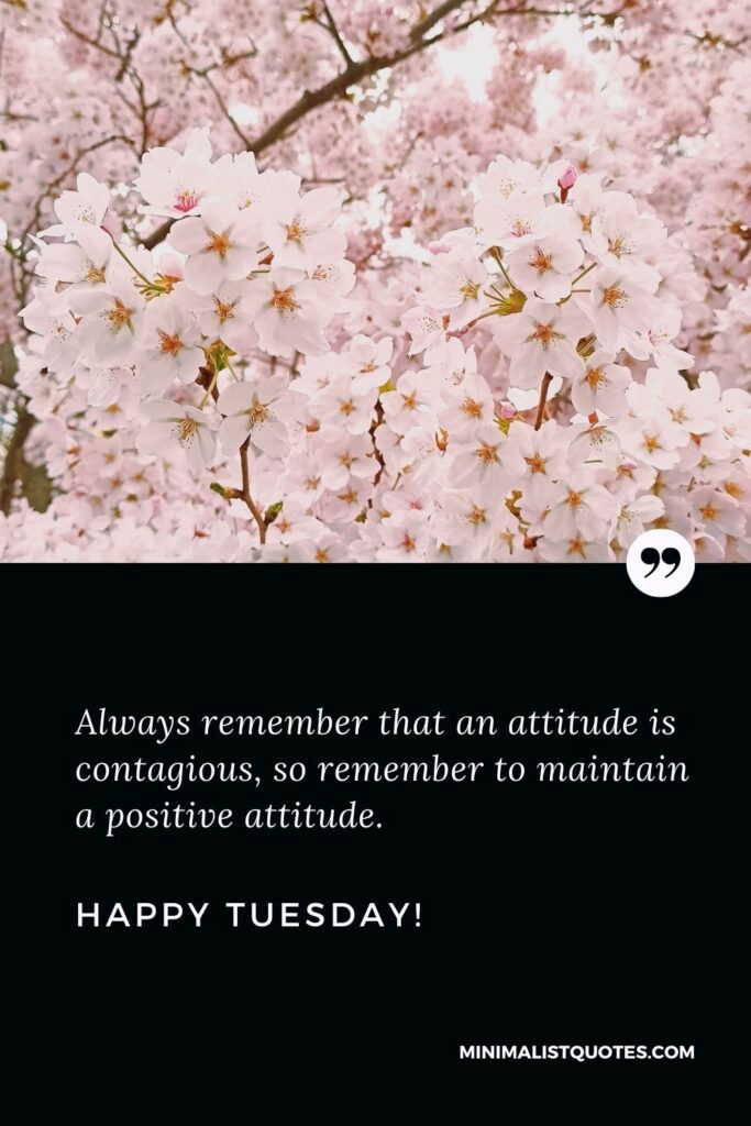Good morning Tuesday blessings: Always remember that an attitude is contagious, so remember to maintain a positive attitude. Happy Tuesday!