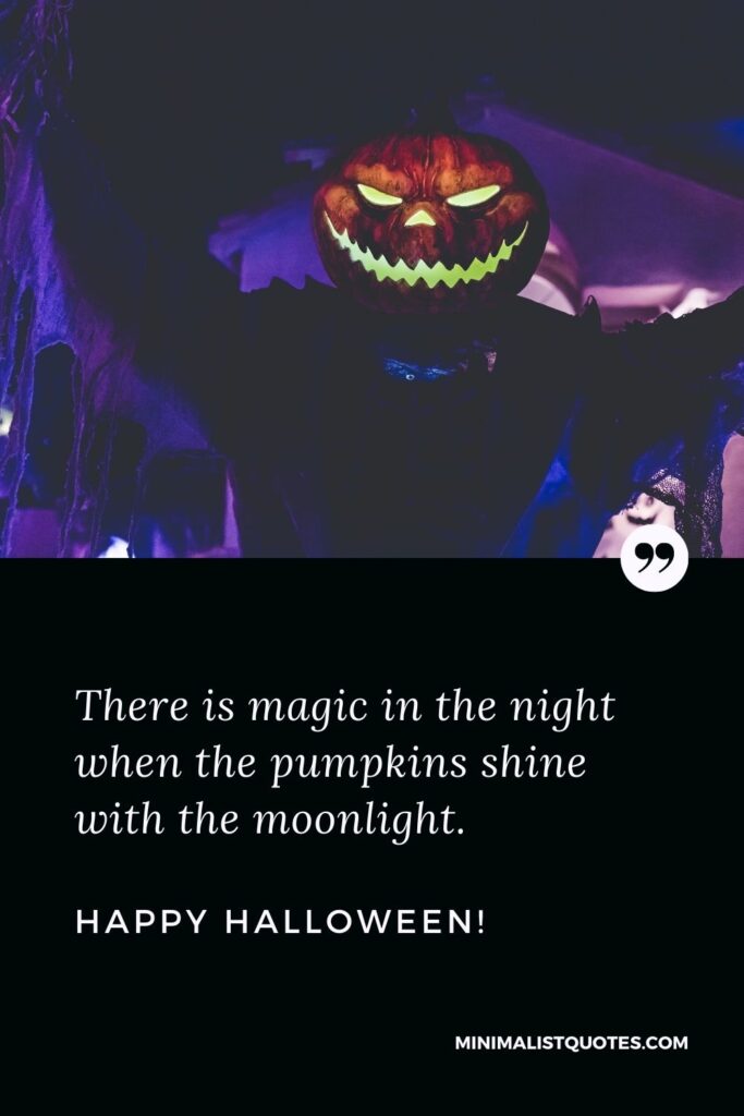 Great pumpkin quotes: There is magic in the night when the pumpkins shine with the moonlight. Happy Halloween!