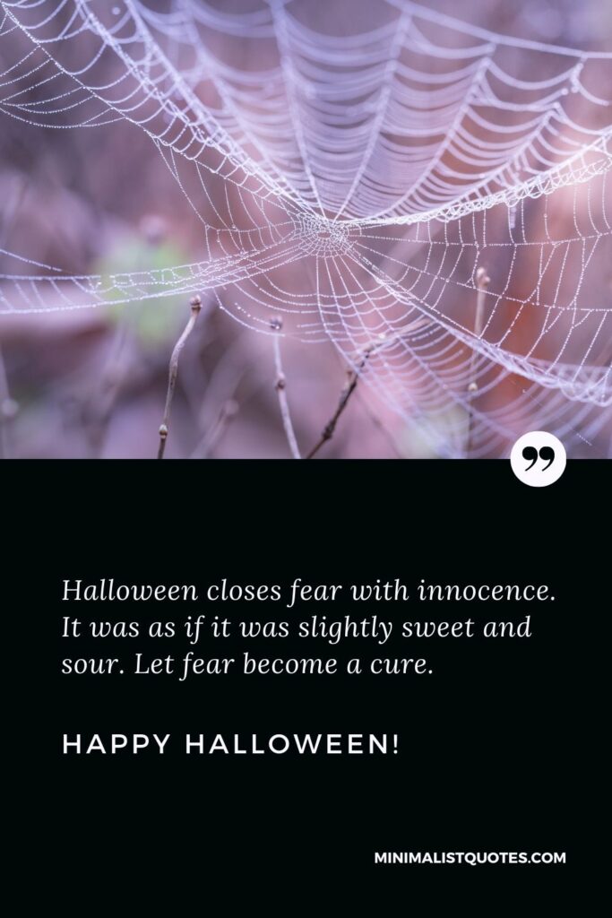 Halloween sayings for cards: Halloween closes fear with innocence. It was as if it was slightly sweet and sour. Let fear become a cure. Happy Halloween!