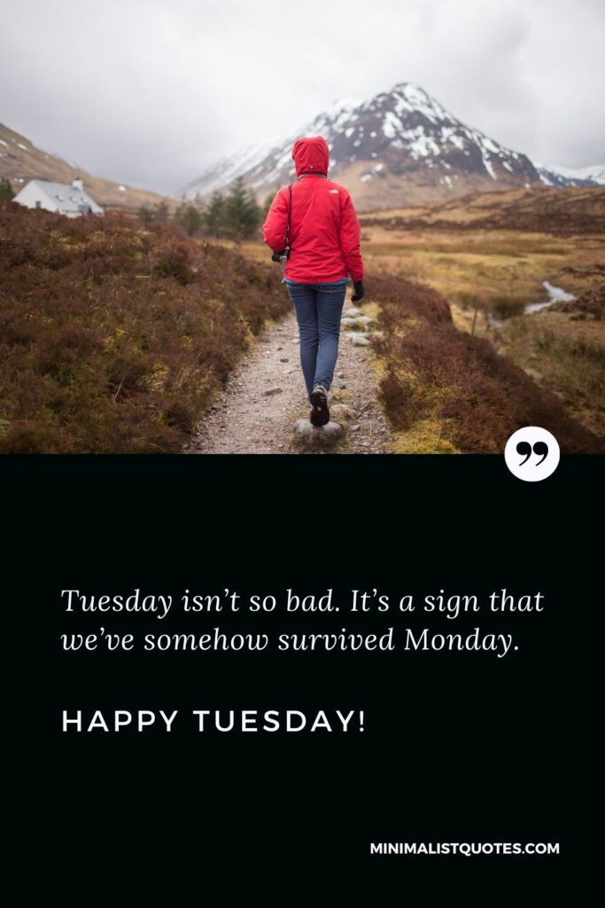 Happy Tuesday quotes: Tuesday isn’t so bad. It’s a sign that we’ve somehow survived Monday. Happy Tuesday!