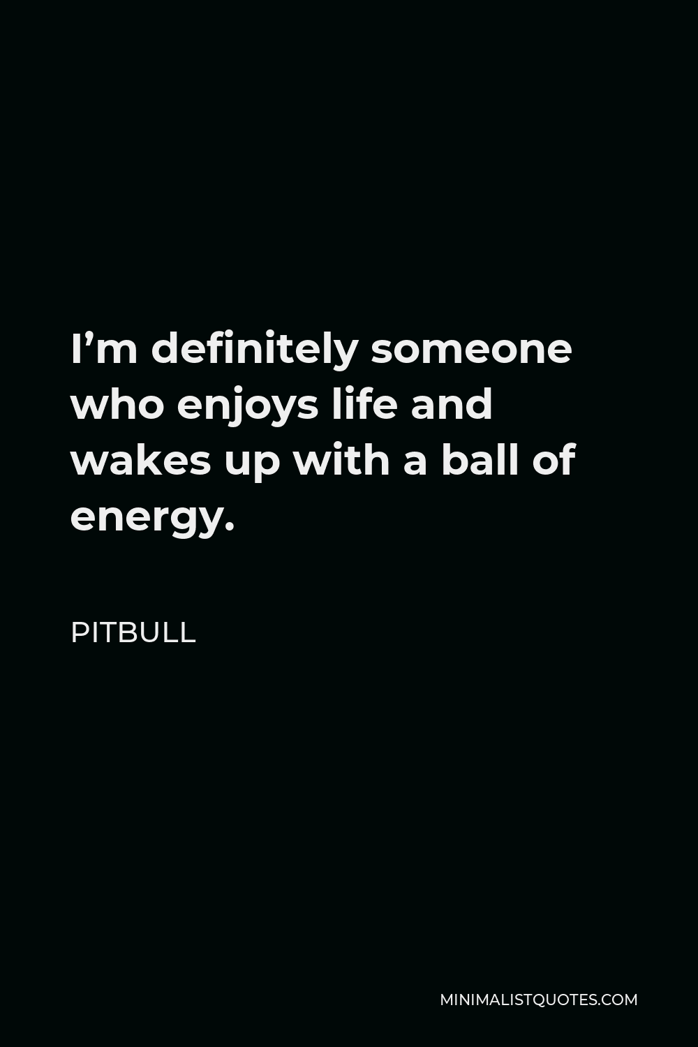 Pitbull Quote - I’m definitely someone who enjoys life and wakes up with a ball of energy.