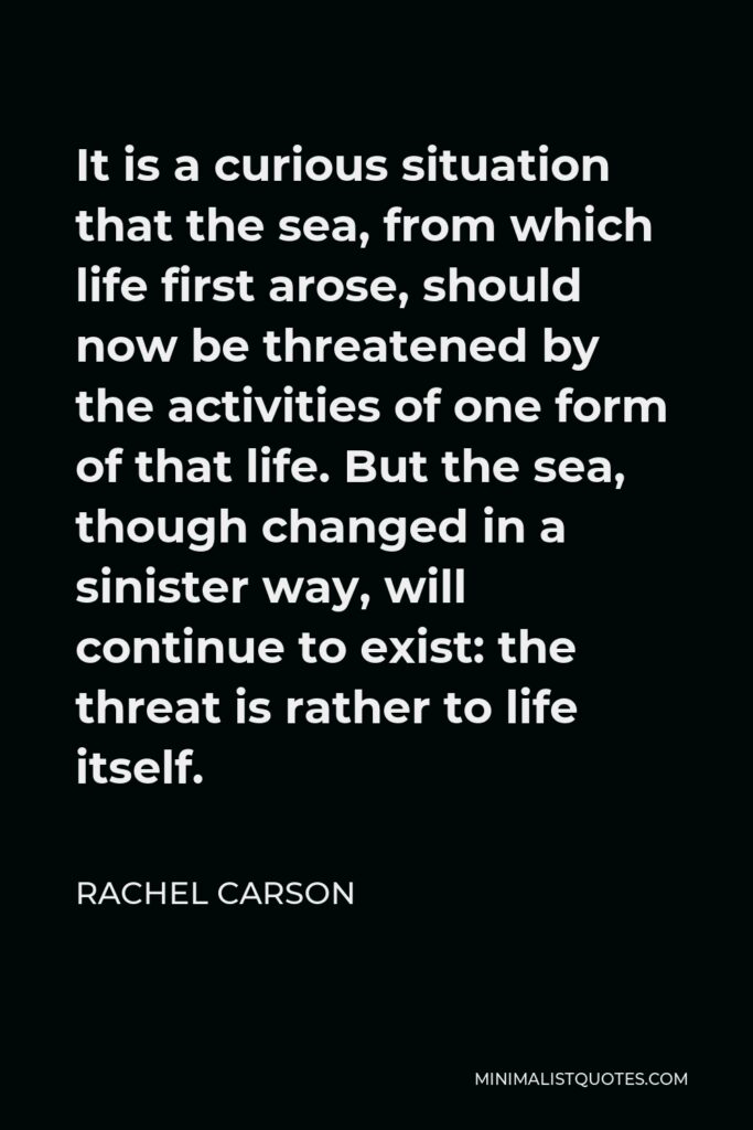 Rachel Carson Quote - It is a curious situation that the sea, from which life first arose, should now be threatened by the activities of one form of that life. But the sea, though changed in a sinister way, will continue to exist: the threat is rather to life itself.