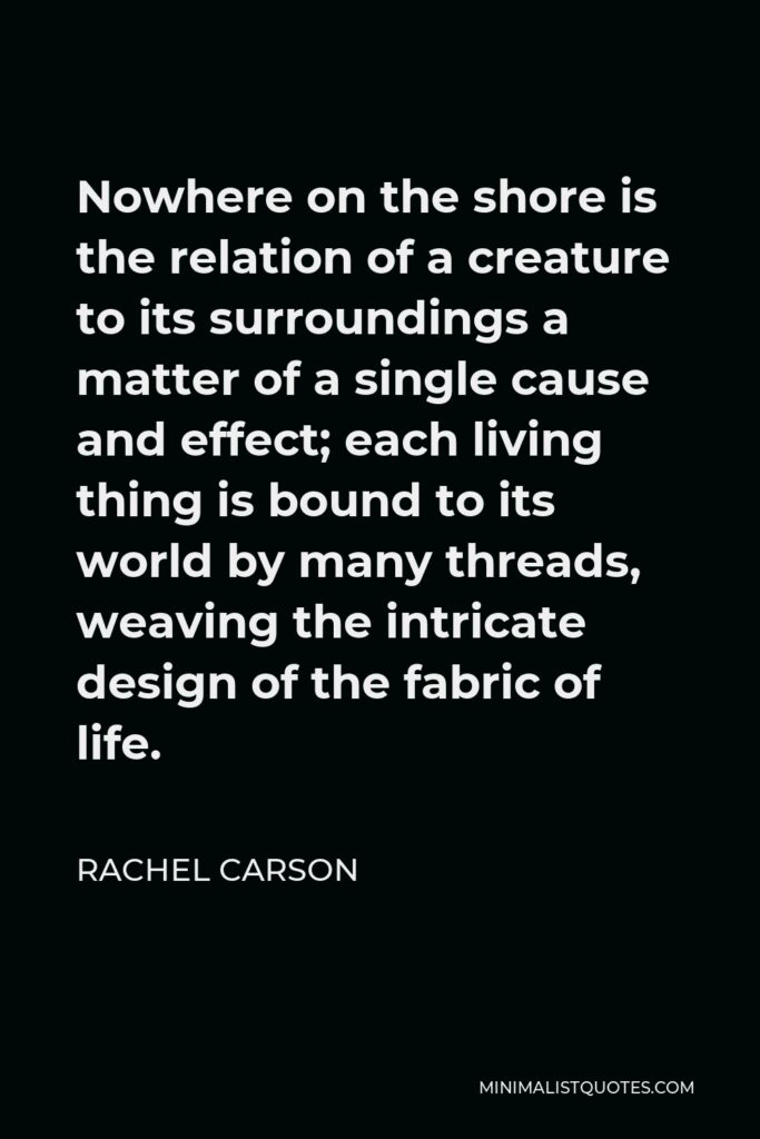 Rachel Carson Quote - Nowhere on the shore is the relation of a creature to its surroundings a matter of a single cause and effect; each living thing is bound to its world by many threads, weaving the intricate design of the fabric of life.