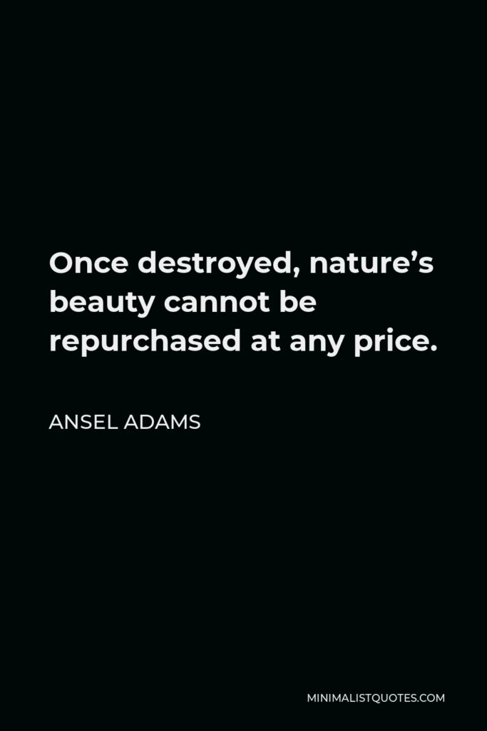 Ansel Adams Quote - Once destroyed, nature’s beauty cannot be repurchased at any price.