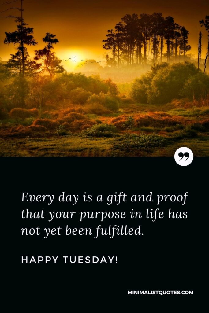 Thoughtful Tuesday quotes: Every day is a gift and proof that your purpose in life has not yet been fulfilled. Happy Tuesday!