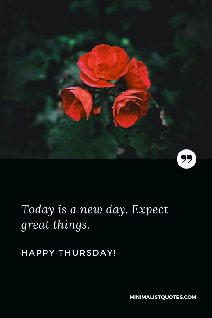 Thursday motivational quotes: Today is a new day. Expect great things. Happy Thursday!