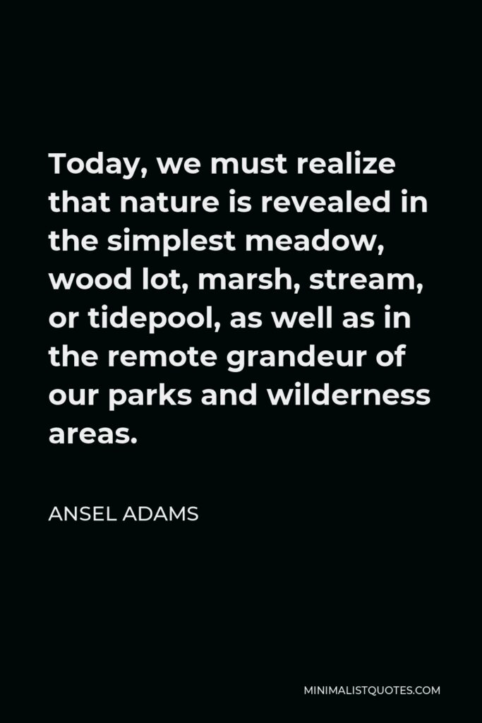 Ansel Adams Quote - Today, we must realize that nature is revealed in the simplest meadow, wood lot, marsh, stream, or tidepool, as well as in the remote grandeur of our parks and wilderness areas.