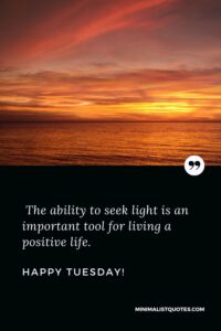 The ability to seek light is an important tool for living a positive ...