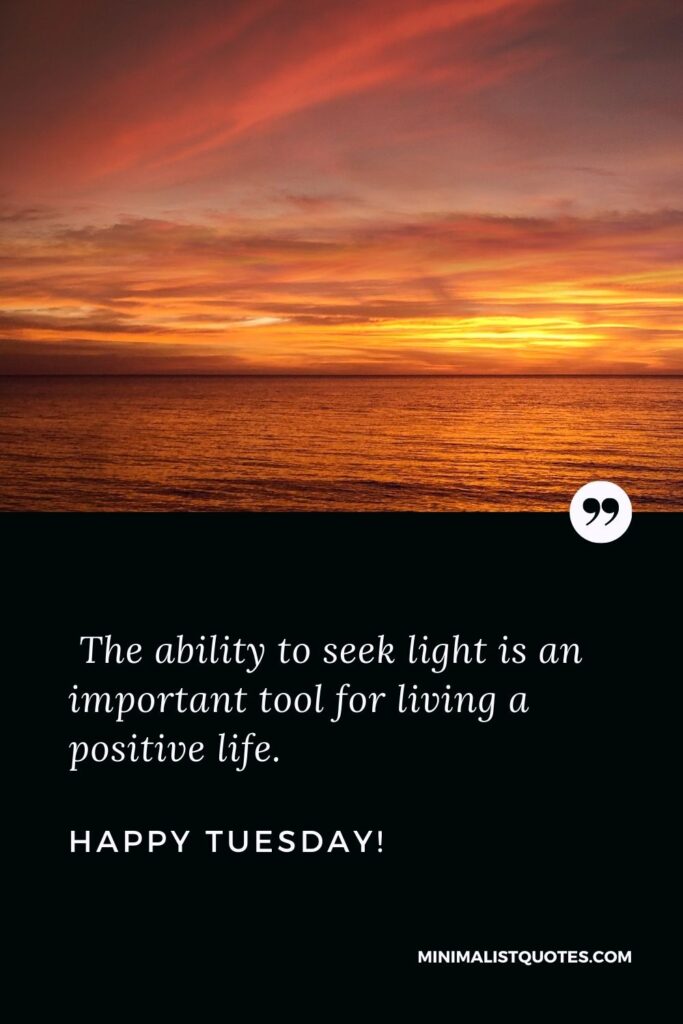 Transformation Tuesday quotes for work: The ability to seek light is an important tool for living a positive life. Happy Tuesday!