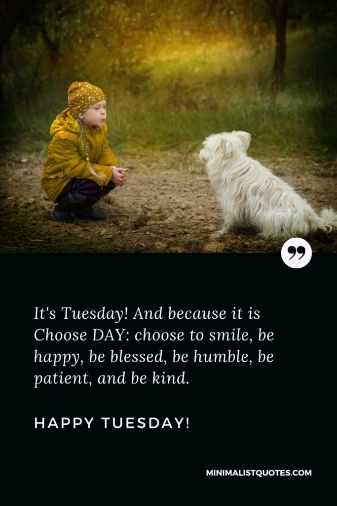 It's Tuesday! And because it is Choose DAY: choose to smile, be happy, love, bless, be blessed, be humble, be patient, and be kind. Happy Tuesday!