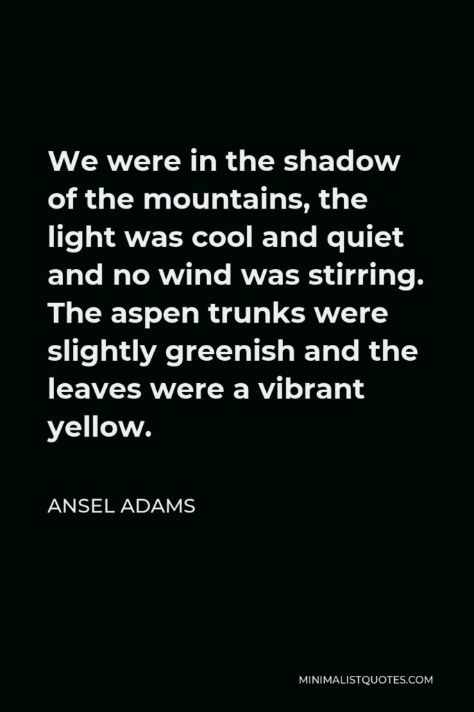Ansel Adams Quote - We were in the shadow of the mountains, the light was cool and quiet and no wind was stirring. The aspen trunks were slightly greenish and the leaves were a vibrant yellow.
