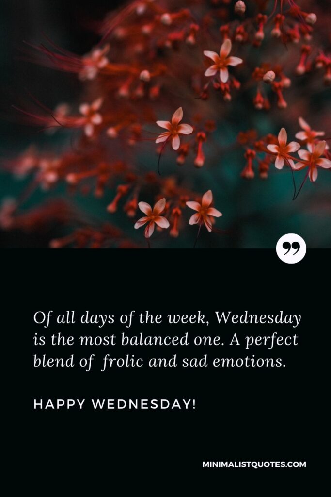 Wednesday good morning wishes: Of all days of the week, Wednesday is the most balanced one. A perfect blend of frolic and sad emotions. Happy Wednesday!