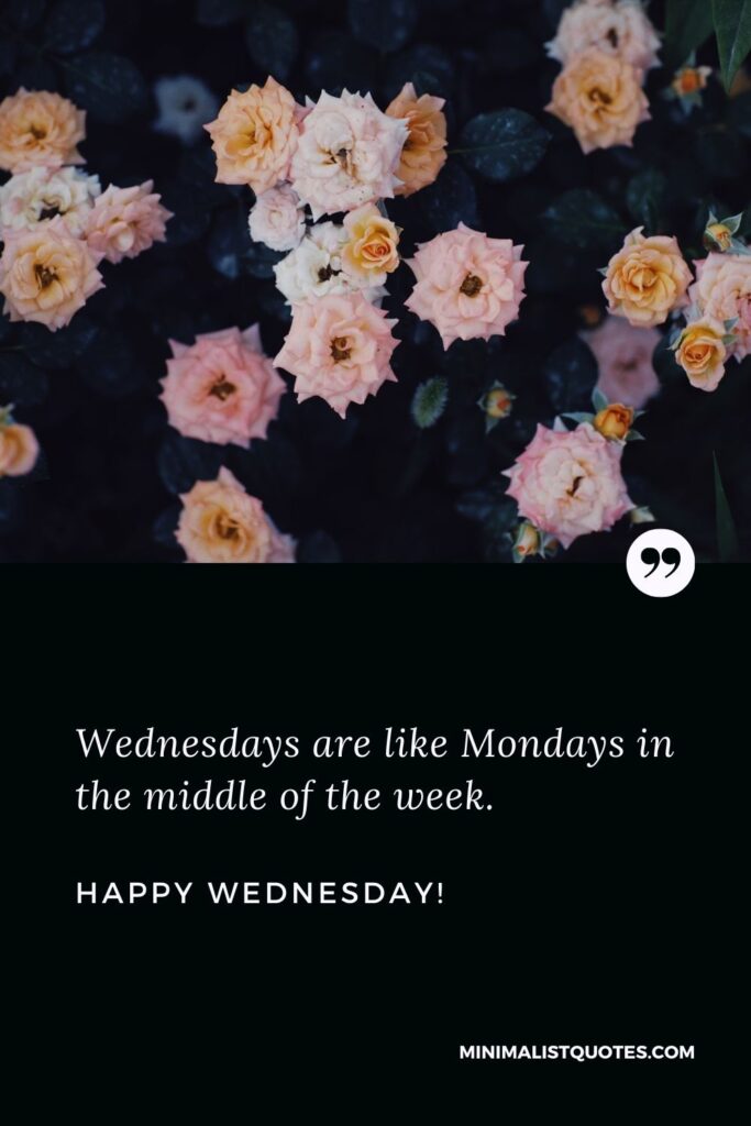 Wednesday greetings: Wednesdays are like Mondays in the middle of the week. Happy Wednesday!