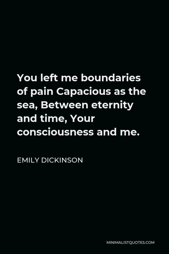 Emily Dickinson Quote - You left me boundaries of pain Capacious as the sea, Between eternity and time, Your consciousness and me.