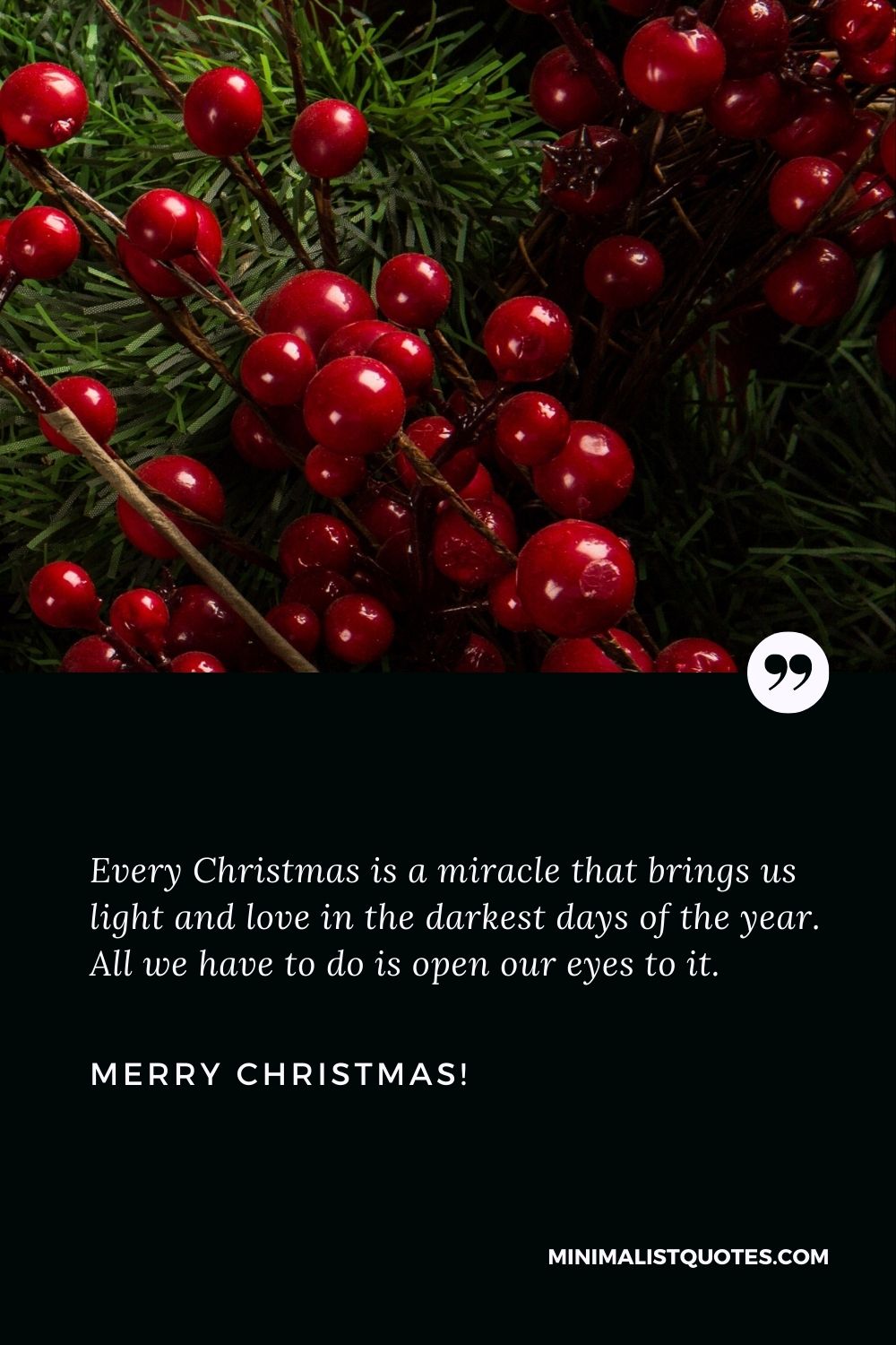 Every Christmas is a miracle that brings us light and love in the darkest days of the year. All we have to do is open our eyes to it. Merry Christmas!