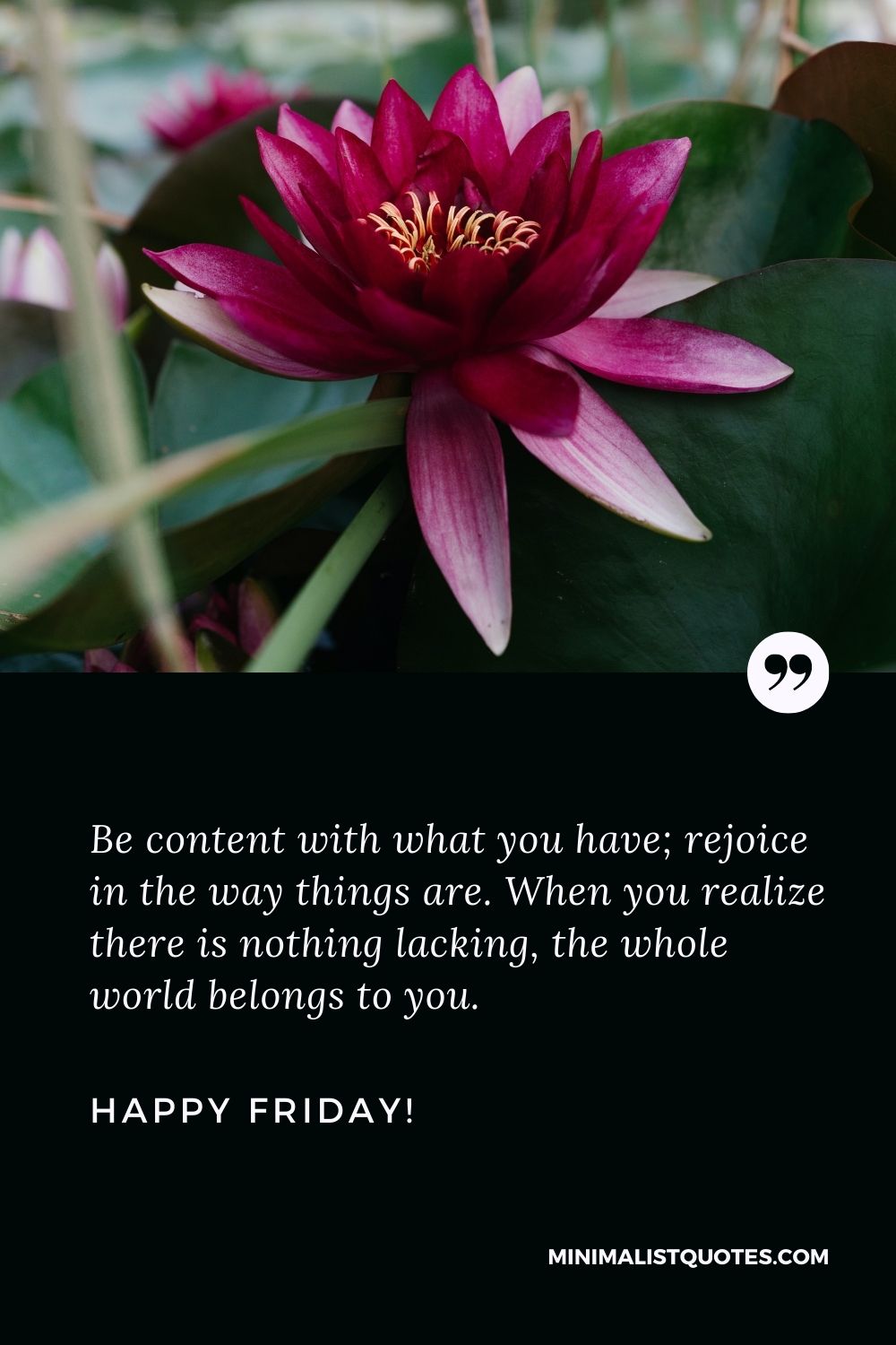Friday morning greetings: Be content with what you have; rejoice in the way things are. When you realize there is nothing lacking, the whole world belongs to you. Happy Friday!