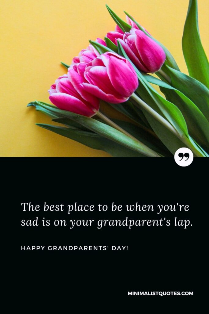 Grandparents day greeting card: The best place to be when you're sad is on your grandparent's lap. Happy Grandparents Day!