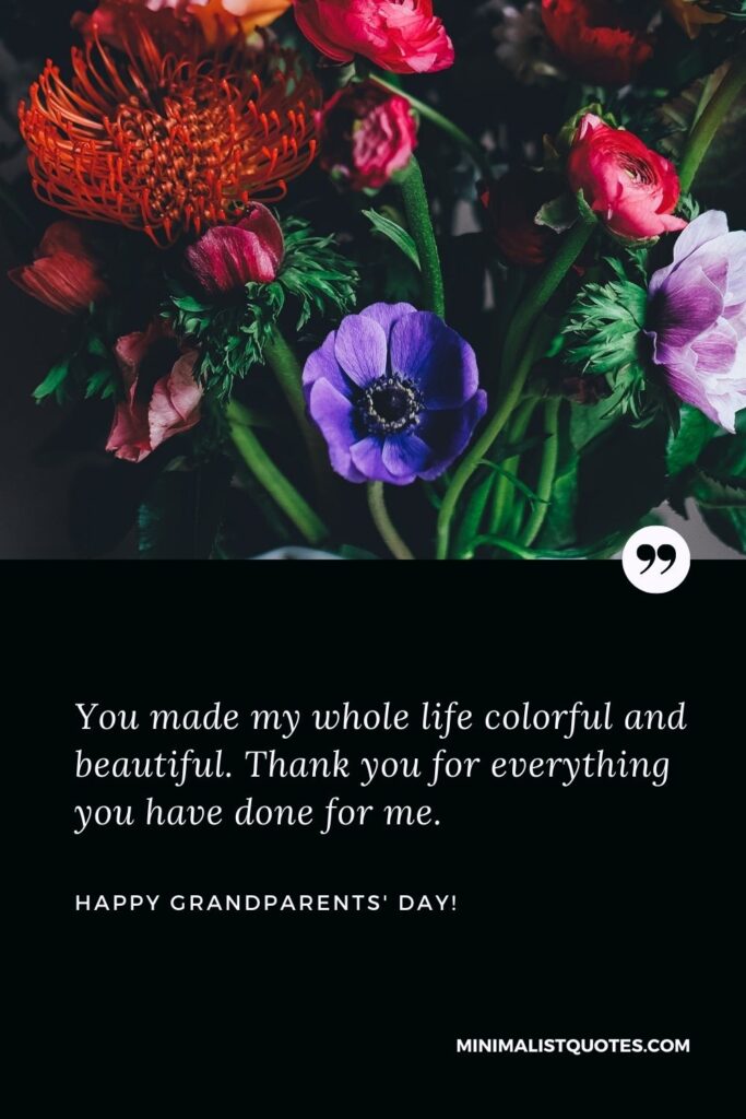 Grandparents day quotes: You made my whole life colorful and beautiful. Thank you for everything you have done for me. Happy Grandparents Day!
