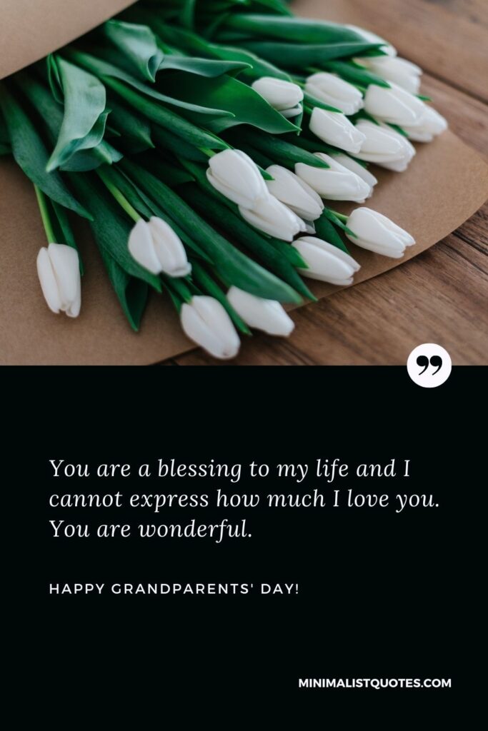 Grandparents day wishes: You are a blessing to my life and I cannot express how much I love you. You are wonderful. Happy Grandparent's Day!