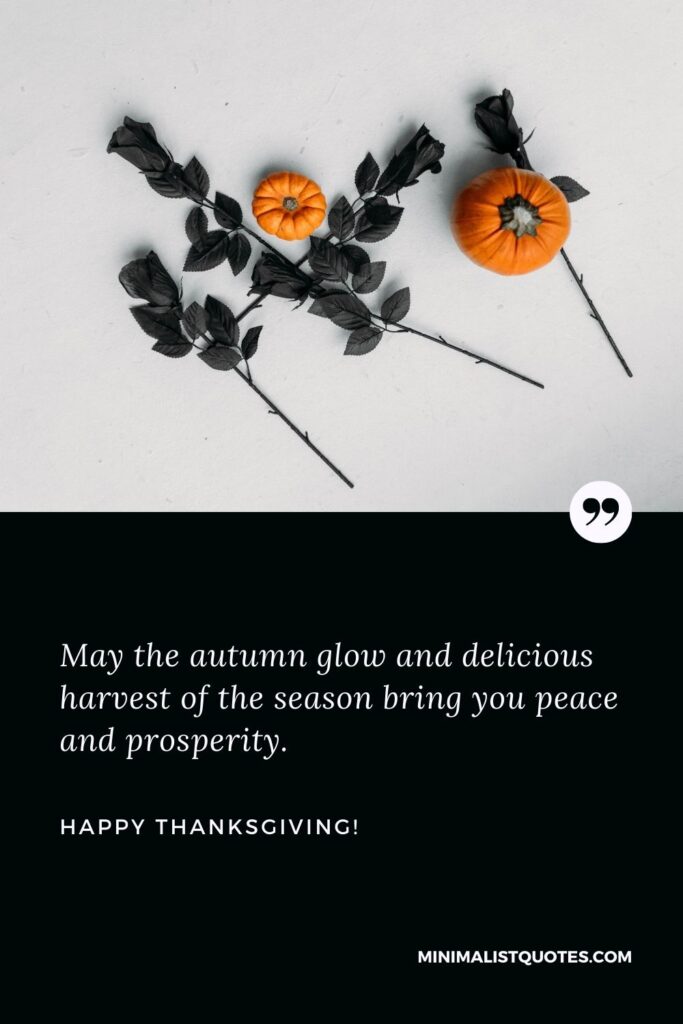 Happy blessed thanksgiving: May the autumn glow and delicious harvest of the season bring you peace and prosperity. Happy Thanksgiving!