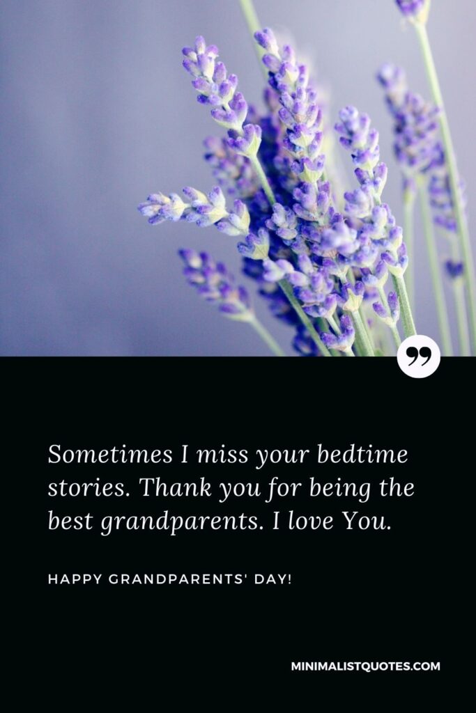 Happy grandparents day message: Sometimes I miss your bedtime stories. Thank you for being the best grandparents. I love You. Happy Grandparents Day!