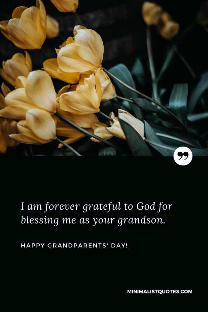 Happy grandparents day wishes: I am forever grateful to God for blessing me as your grandson. Happy Grandparents Day!