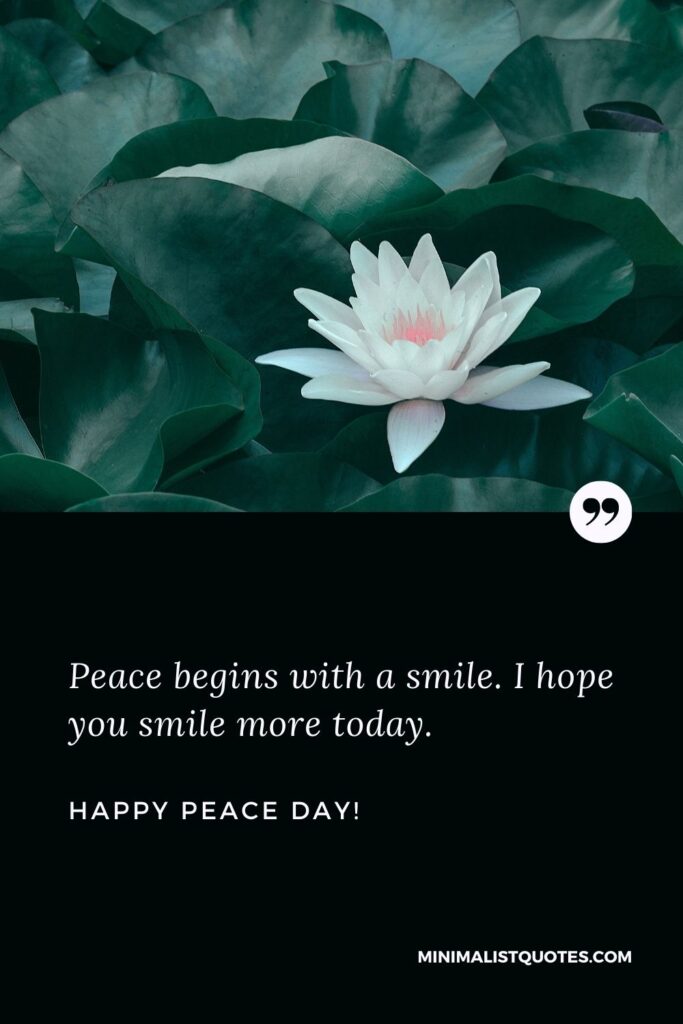Happy International Peace Day: Peace begins with a smile. I hope you smile more today. Happy International Day of Peace!