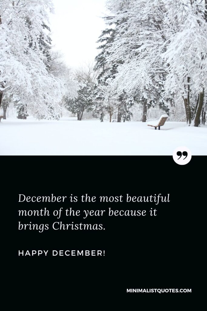 Happy new month December: December is the most beautiful month of the year because it brings Christmas. Happy December!