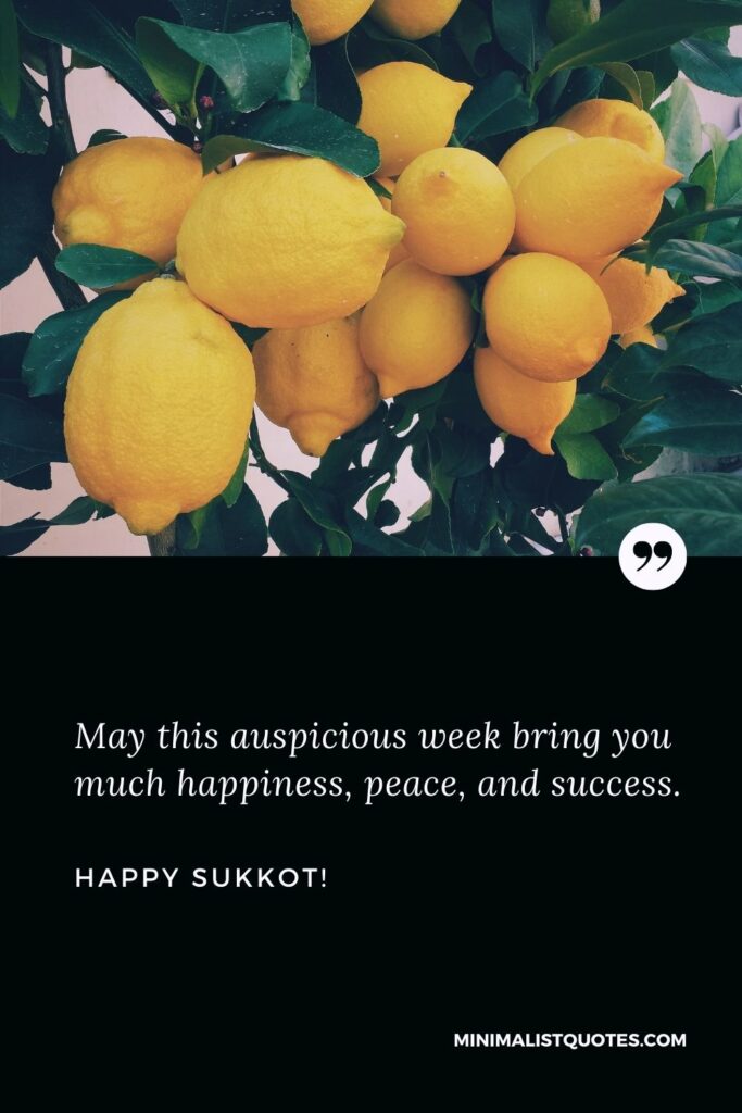 Happy Sukkot Greeting: May this auspicious week bring you much happiness, peace, and success. Happy Sukkot!