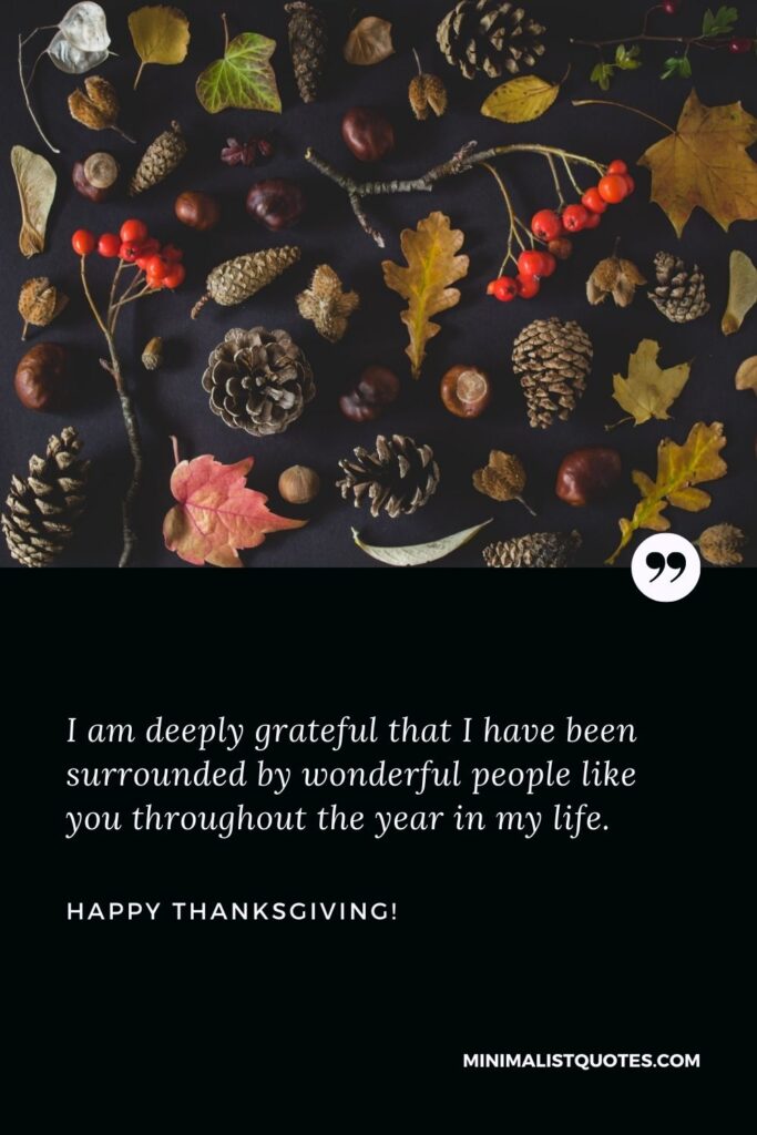 Happy Thanksgiving friend: I am deeply grateful that I have been surrounded by wonderful people like you throughout the year in my life. Happy Thanksgiving!