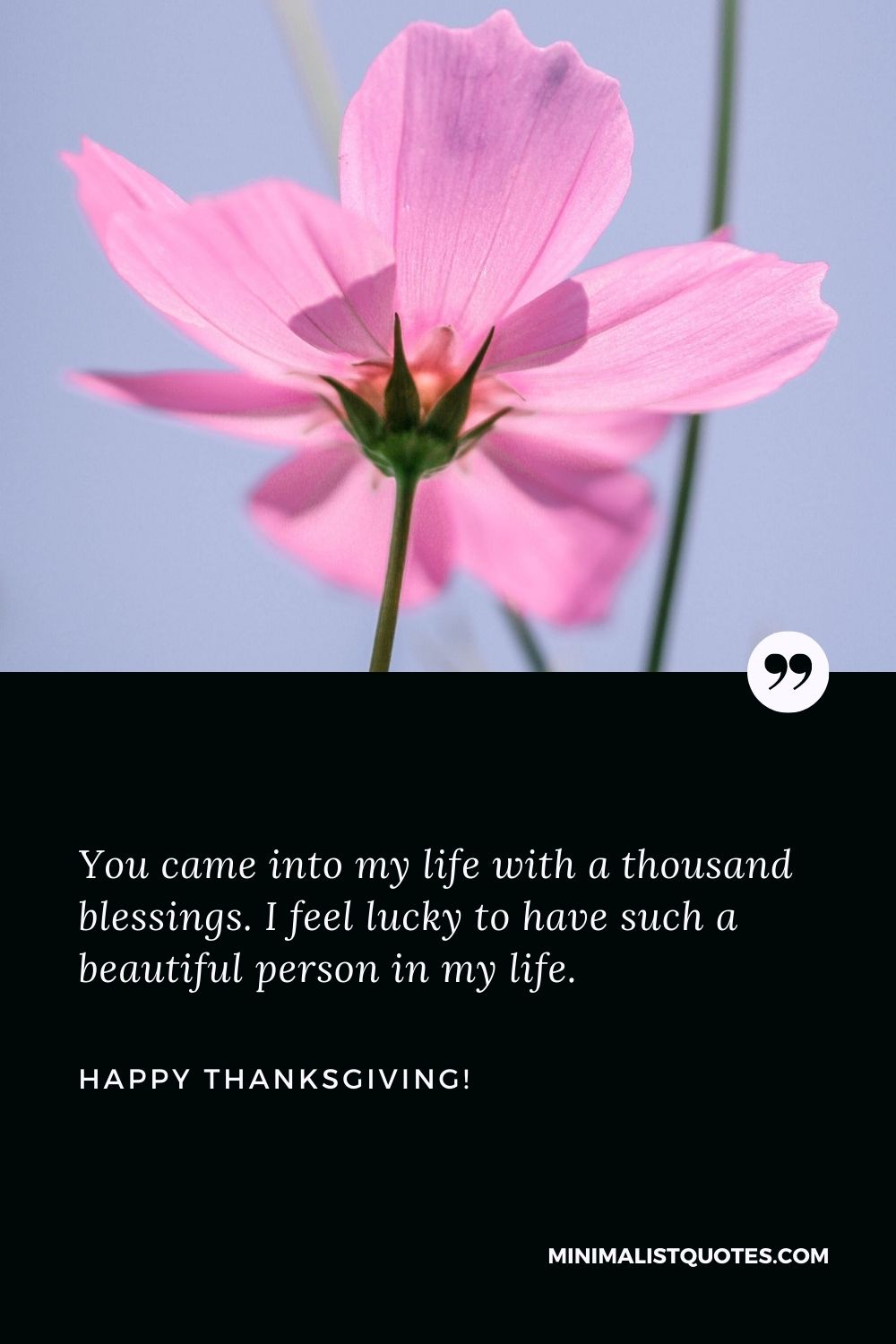 Happy Thanksgiving greetings: You came into my life with a thousand blessings. I feel lucky to have such a beautiful person in my life. Happy Thanksgiving!